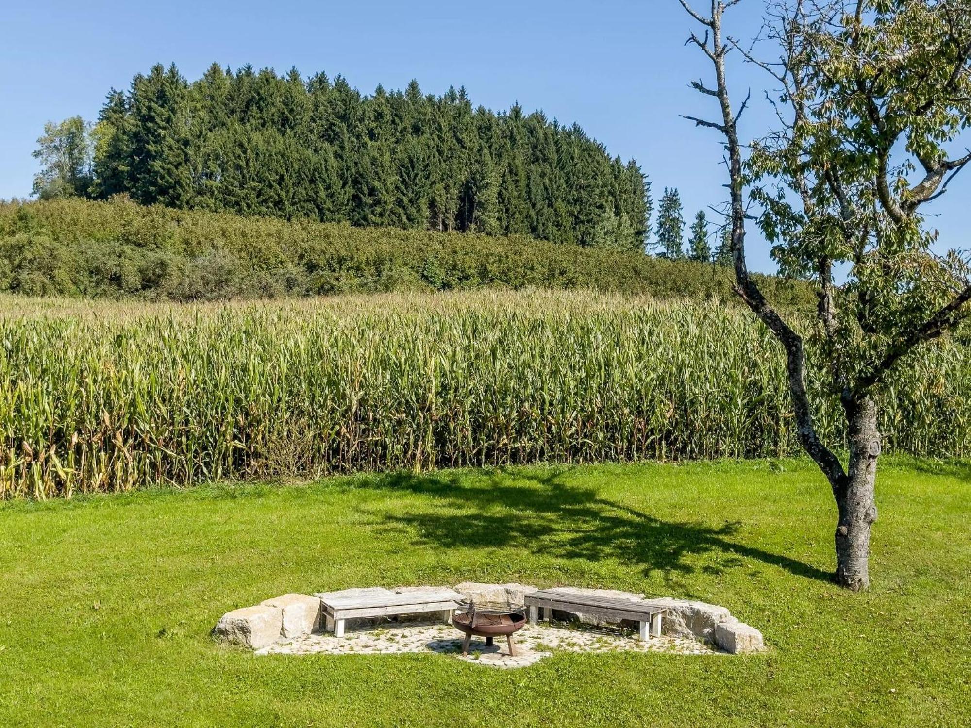 Ferienwohnung Buchmann Deggenhausertal Kültér fotó